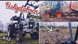 David Brown 1210 im Einsatz | Kubota b1610 steckt fest | oldtimer_Junkie