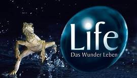 Life - Das Wunder Leben Trailer