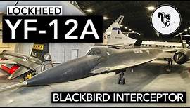 Guided tour around the only Blackbird Interceptor in the world - the Lockheed YF-12A