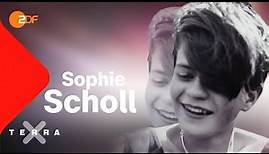 Die 5 Gesichter der Sophie Scholl | Terra X