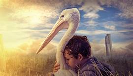 Storm Boy (2019) | Official Trailer, Full Movie Stream Preview