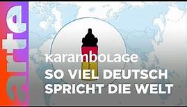 Die deutsche Sprache in der Welt | Karambolage |ARTE