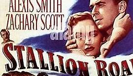 Stallion Road (1947) Ronald Regan, Alexis Smith, Zachary Scott