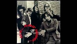 The Flamin' Groovies - The Slide