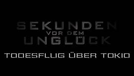 Sekunden vor dem Unglück - Todesflug über Tokio