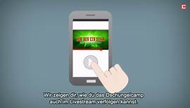 Dschungelcamp Livestream: RTL online schauen