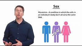 Sex, Gender, and Sexuality - Explained