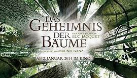 Das Geheimnis der Bäume | Offizieller Trailer Deutsch HD | Luc Jacquet