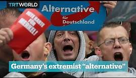 What is the Alternative for Germany Party?