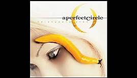 A̲ P̲e̲r̲fect C̲i̲r̲cle - Thirteenth Step (Full Album)