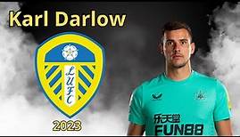 Karl Darlow ● 2023 ● Welcome to Leeds United ● Best Highlights Saves
