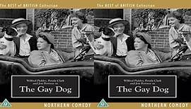 The Gay Dog (1954) ★