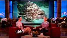Jennifer Lawrence @ The Ellen DeGeneres Show | Full interview [HD]