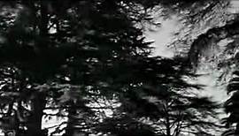 Liebe 1962 Trailer OV