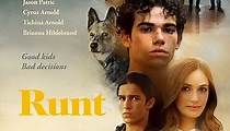 Runt streaming: where to watch movie online?