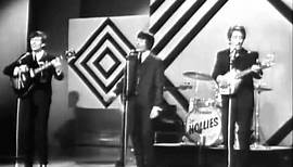The Hollies - Look Through Any Window