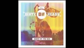 Dirty Heads - "Hipster"