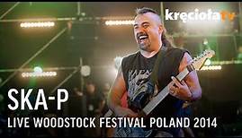SKA-P LIVE Woodstock Festival Poland 2014 (FULL CONCERT)