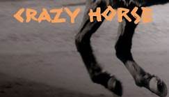 Crazy Horse - Scratchy (The Complete Reprise Recordings)