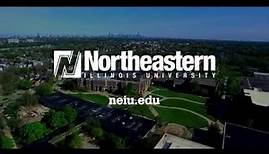 Aerial View of Northeastern Illinois University's Main Campus