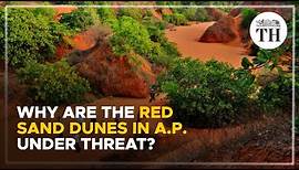 Why are the red sand dunes in A.P. under threat? | The Hindu