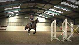Behind The Scenes of Showjumping - Excelling Under Pressure