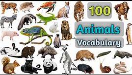 Animals Vocabulary In English ll 100 Animals Name In English With Pictures