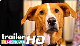 AGENT TOBY BARKS Trailer 🐕 | Family Adventure Dog Movie