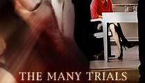 The Many Trials of One Jane Doe (2002)