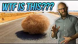 So What Actually is a Tumbleweed, Anyway, And How Did it Become Associated with the American West