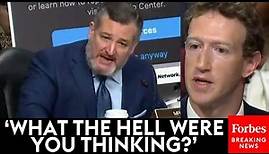 BREAKING NEWS: Ted Cruz Unleashes On Mark Zuckerberg In Senate Judiciary Hearing On Social Media