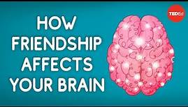 How friendship affects your brain - Shannon Odell