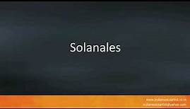 Pronunciation of the word(s) "Solanales".