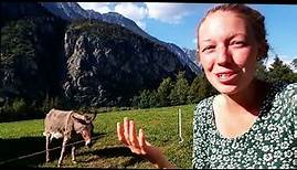 Ein Esel zum Pferde stehlen - Lotta Lubkoll | Trailer