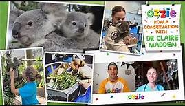 Learn About Koalas With Dr Claire & Ozzie | Educational Koala Conservation Video For Kids