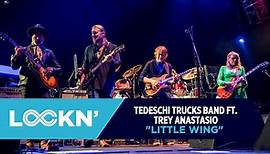 "Little Wing" | Tedeschi Trucks Band ft. Trey Anastasio | 8/24/19 | LOCKN'