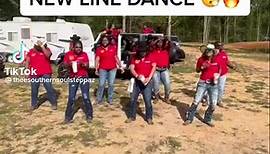 🌐 Join us at Southern Soul Network where the rhythm is soulful, and the vibes are contagious. It’ll have you line dancing all day!💃🏾 www.southernsoulnetwork.com🎥 @theesouthernsteppaz #southernsoul #southernsoulmusic #internetradio #grooves #linedancing | Southern Soul Network