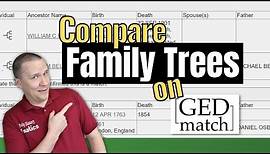 How to Compare Family Trees on GEDmatch | Genetic Genealogy