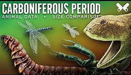 CARBONIFEROUS Period. Animals size comparison and data.