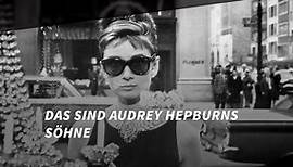 Audrey Hepburn: Das sind ihre Söhne - video Dailymotion