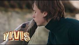 Ylvis - Language of Love [Official music video HD]