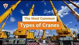 The Ultimate Guide to Understanding Different Types of Cranes