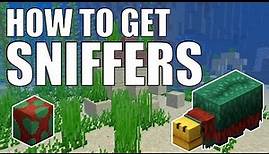 How to Get a SNIFFER in Minecraft 1.20 | How to find Sniffer Eggs