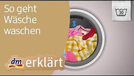 dm erklärt: Haushalt für Einsteiger - Wäsche waschen