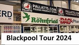 Blackpool Show Tour & Interviews 2024. British Homing World!
