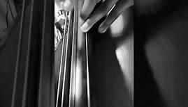 “Bb Rhythm” - Bass. The Simplicity and Beauty of Half Steps. ~REGINALD VEAL