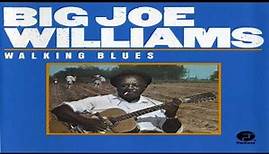 Big Joe Williams - Feel So Good