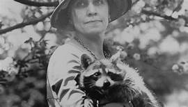 All the presidents' pets: Calvin Coolidge's White House raccoon