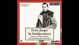 Ernst JÃ¼nger - In Stahlgewittern (HÃ¶rbuch) Teil 1