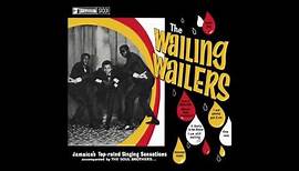 The Wailing Wailers - "Lonesome Feeling" (Official Audio)